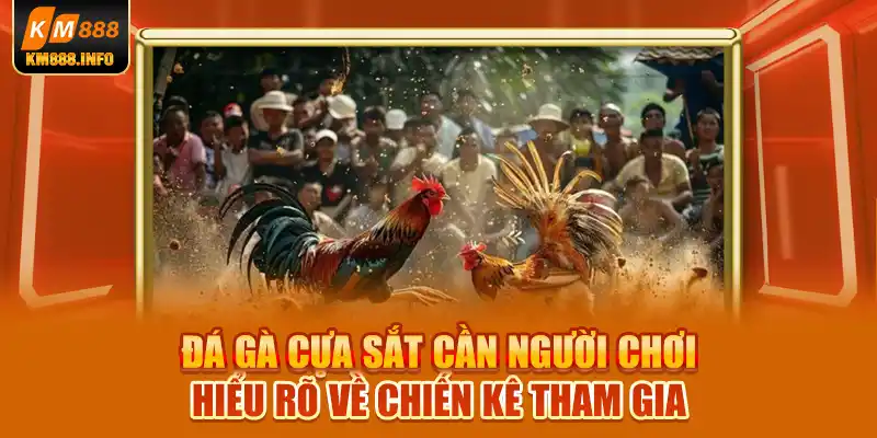 Đá gà cựa sắt cần người chơi hiểu rõ về chiến kê tham gia