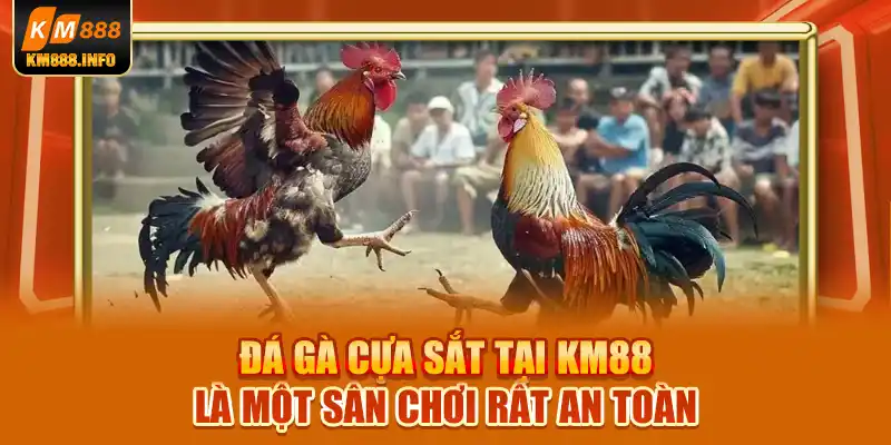 Đá gà cựa sắt tại KM88 là một sân chơi rất an toàn