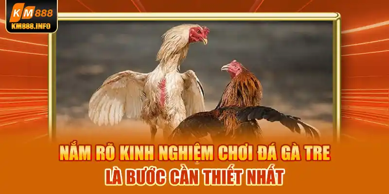 Nắm rõ kinh nghiệm chơi đá gà tre là bước cần thiết nhất